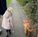 Honden oppas/gezin aangeboden! Hilversum. Wo+vrijdag, Ophalen of Verzenden