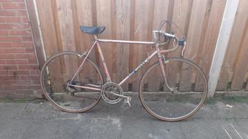 3x Racefiets EDDIE-MERKX Collectors-item.!! & GAZELLE -XXL & beschikbaar voor biedingen