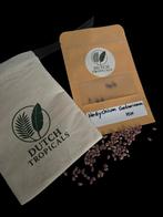 Hedychium Gardnerianum Zaden (siergember), Tuin en Terras, Ophalen of Verzenden, Voorjaar, Halfschaduw, Zaad