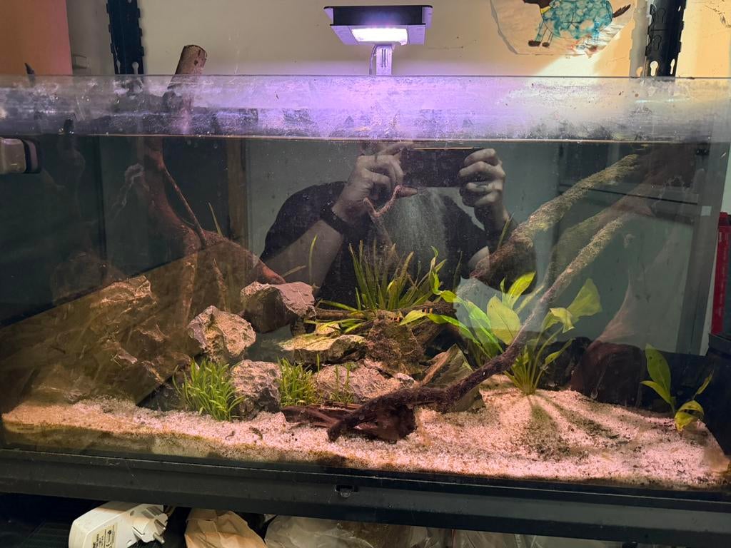 Aquarium 80x40x35 met vissenbestand, Dieren en Toebehoren, Ophalen, Gebruikt, Gevuld zoetwateraquarium