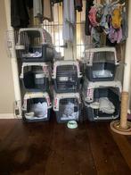 Iata aproved transport box kat of hond, Dieren en Toebehoren, Ophalen of Verzenden