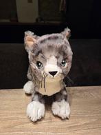 Knuffel kat, Ophalen, Zo goed als nieuw, Poes