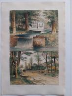 Staverden leuvenumsebos, Antiek en Kunst, Kunst | Litho's en Zeefdrukken, Ophalen of Verzenden