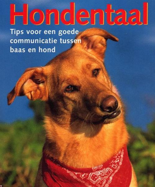 Hondentaal - Matthew Hoffman, Boeken, Dieren en Huisdieren, Zo goed als nieuw, Honden, Ophalen of Verzenden