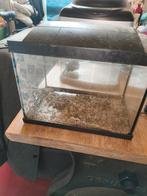 Aquarium 36 cm breed, Dieren en Toebehoren, Ophalen, Gebruikt, Leeg aquarium
