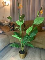 Strelitzia Kunstplant in Pot, Ophalen, 100 tot 150 cm, Overige soorten, Halfschaduw