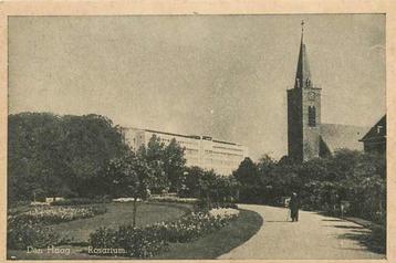 (377-703-031) Den Haag Rosarium beschikbaar voor biedingen