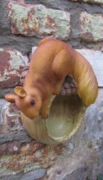 EEKHOORNTJE OP VOGELVOEDER WANDDECORATIE, Tuin en Terras, Ophalen of Verzenden, Nieuw