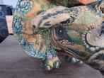 Dino - knuffel- kussen, Ophalen of Verzenden, Zo goed als nieuw
