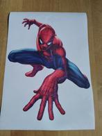 Canvas poster Spiderman, Minder dan 50 cm, Nieuw, Ophalen of Verzenden, Foto of Poster