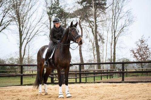 Plek vrij voor zadelmak maken of doortrainen!, Dieren en Toebehoren, Stalling en Weidegang, Stalling, 4 paarden of pony's of meer