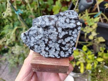So02 Obsidaan Sneeuwvlokken Utah USA #collectie #verzameling beschikbaar voor biedingen