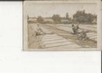 Poeldijk Piet Paalvast en maten snijden onder platglas 1915, Ophalen of Verzenden, Voor 1920, Ongelopen, Zuid-Holland
