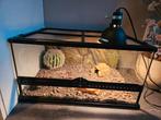 Terrarium van Exo Terra 60x45x32 inclusief accessoires, Dieren en Toebehoren, Ophalen, Zo goed als nieuw, Terrarium of Paludarium