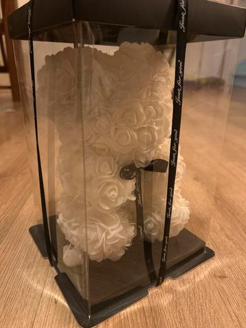 Schattige Rozenbeer - Nieuw! beschikbaar voor biedingen