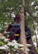 Boom verwijderen ?, Diensten en Vakmensen, Tuinmannen en Stratenmakers