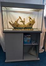 Eheim aquarium 140l met meubel en pomp, Dieren en Toebehoren, Ophalen, Zo goed als nieuw, Leeg aquarium