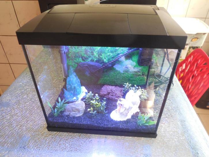 superfish start 30 tropical kit aquarium met frozen, Dieren en Toebehoren, Vissen | Aquaria en Toebehoren, Zo goed als nieuw, Leeg aquarium