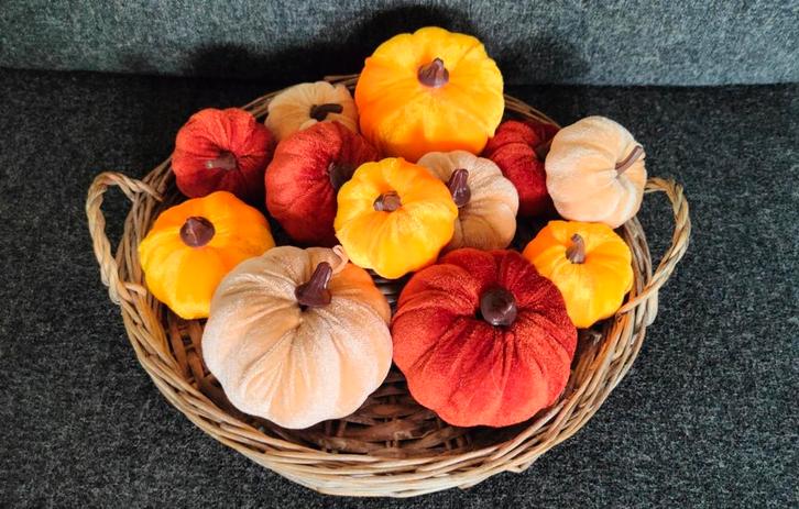 Nieuwe herfst deco, 12 pompoentjes met fluweel, excl. mand, Huis en Inrichting, Woonaccessoires | Kunstplanten en Kunstbloemen