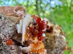 Vanadiniet, Verzamelen, Mineralen en Fossielen, Ophalen of Verzenden