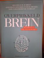Overprikkeld brein Labee ZGAN, Ophalen of Verzenden, Zo goed als nieuw