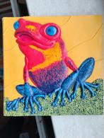 Spring, spring, kikker! Uitklapboek, Ophalen of Verzenden