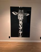 Plexiglas Schilderij Giraffe - Moderne Kunst, Ophalen, Zo goed als nieuw, Schilderij, 100 tot 125 cm