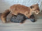 Opgezette vos met kuiken in zijn bek taxidermie, Ophalen, Gebruikt, Opgezet dier