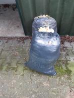 Twee zakken met witte schapenvachten, Dieren en Toebehoren, Schapen, Geiten en Varkens, Vrouwelijk, Geit