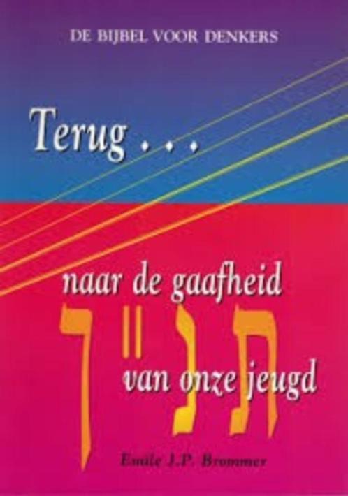 De Bijbel voor denkers, Terug naar de gaafheid van onze jeug, Boeken, Godsdienst en Theologie, Zo goed als nieuw, Christendom | Katholiek