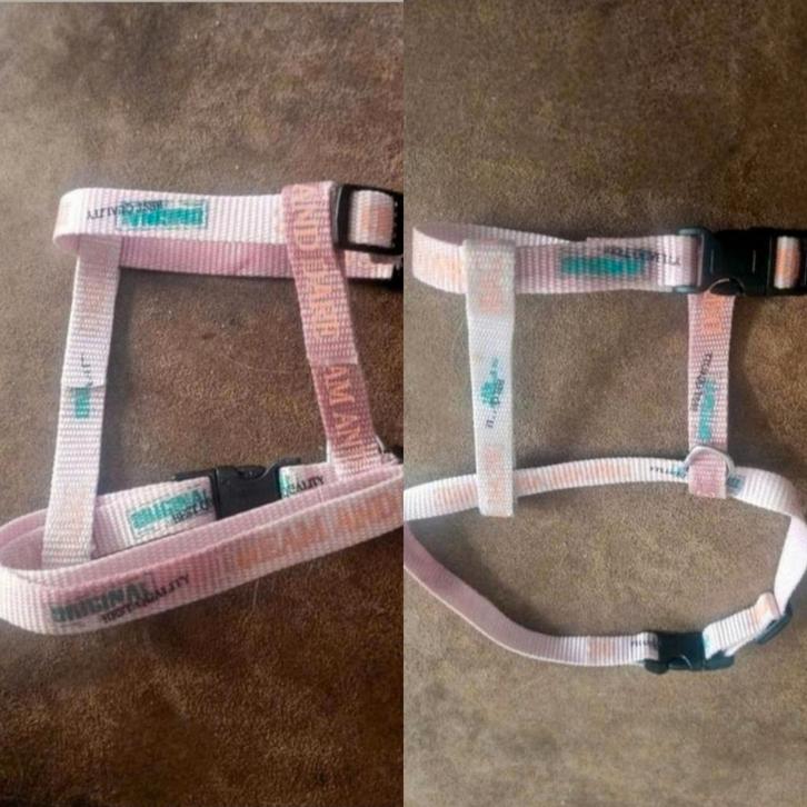 NIEUW volwassen kattentuigje volledig in maat verstelbaar., Dieren en Toebehoren, Kattenhalsbanden en Penningen, Zo goed als nieuw