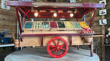 Kar decoratie groente met verlichting beschikbaar voor biedingen