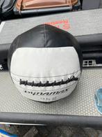 Wall bal 9 kg gewicht hyrox dynamax, Gebruikt, Dynamax, Ophalen of Verzenden, Wall bal 9 kg