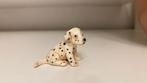 Schleich Zittende Dalmatiër pup ~ 16348 (10), Ophalen of Verzenden, Hond of Kat, Beeldje of Figuurtje