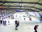 25% korting bij SnowWorld, Tickets en Kaartjes, Drie personen of meer, Kortingskaart