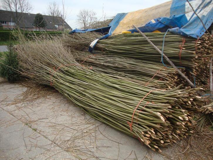 Vlechthout., Tuin en Terras, Tuinhekken en Hekwerk, Nieuw, Tuinhek, Hout, Ophalen