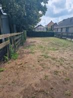 Paddock, Dieren en Toebehoren, Weidegang