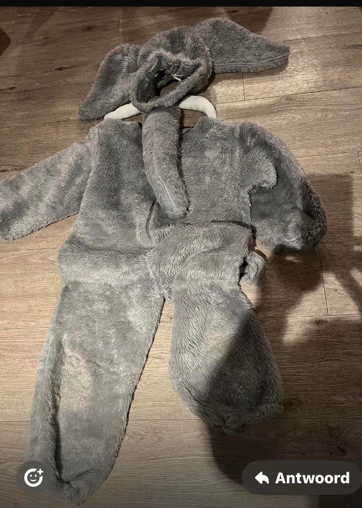 Carnaval pakje, Kinderen en Baby's, Kinderkleding | Maat 92, Ophalen of Verzenden, Zo goed als nieuw, Jongen of Meisje