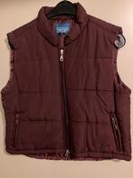 Bordeauxrode bodywarmer L, Ophalen of Verzenden, Zo goed als nieuw, Maat 42/44 (L), Overige kleuren
