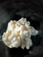 melk kefir, Ophalen of Verzenden