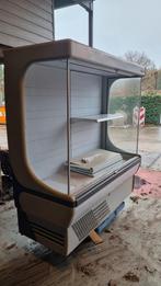Koelvitrine Winkel - 6 Legplanken - Werkend Weggezet, Witgoed en Apparatuur, Koelkasten en IJskasten, Ophalen