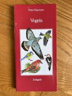 Boek Peter Hayman - Vogels zakgids, Boeken, Natuur, Vogels, Ophalen of Verzenden, Zo goed als nieuw