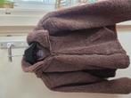Teddyjas Primark, Kleding | Dames, Jassen | Winter, Ophalen of Verzenden, Zo goed als nieuw