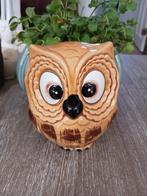 UIL Wierook of smeltkaars houder voor aan de wand, Ophalen of Verzenden, Zo goed als nieuw, Dier