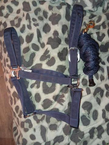 Nieuwe! Halster en touwe beschikbaar voor biedingen