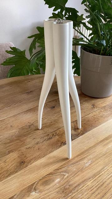 Design object vaas tand/wortel beschikbaar voor biedingen