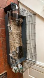 Konijnen of caviakooi, Dieren en Toebehoren, Knaagdieren en Konijnen | Hokken en Kooien, Minder dan 60 cm, Kooi, Ophalen of Verzenden