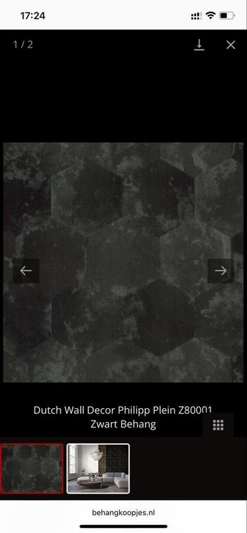 Philipp Plein Behang Z80001 - Nieuw! 4 rollen beschikbaar voor biedingen