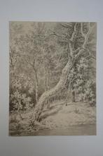 aquarel bomen in bos aan water, Honig 1820 omg. Favenraad, Verzenden