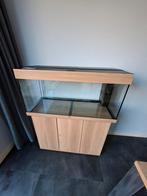 Prachtig Juwel RIO 180 aquarium; kan bezorgen evt., Dieren en Toebehoren, Ophalen, Zo goed als nieuw, Leeg aquarium